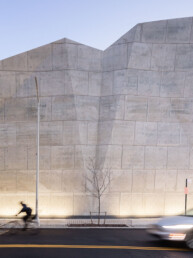 dsny-project-wxy-studio